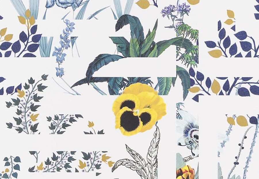 Обои Christian Lacroix Histoires Naturelles PCL7018-02