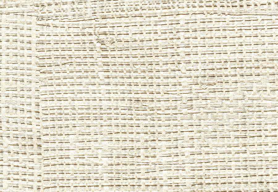 Обои Elitis Raffia & Madagascar VP60102