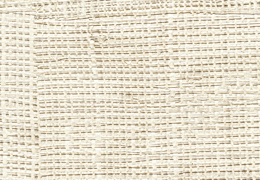 Обои Elitis Raffia & Madagascar VP60102