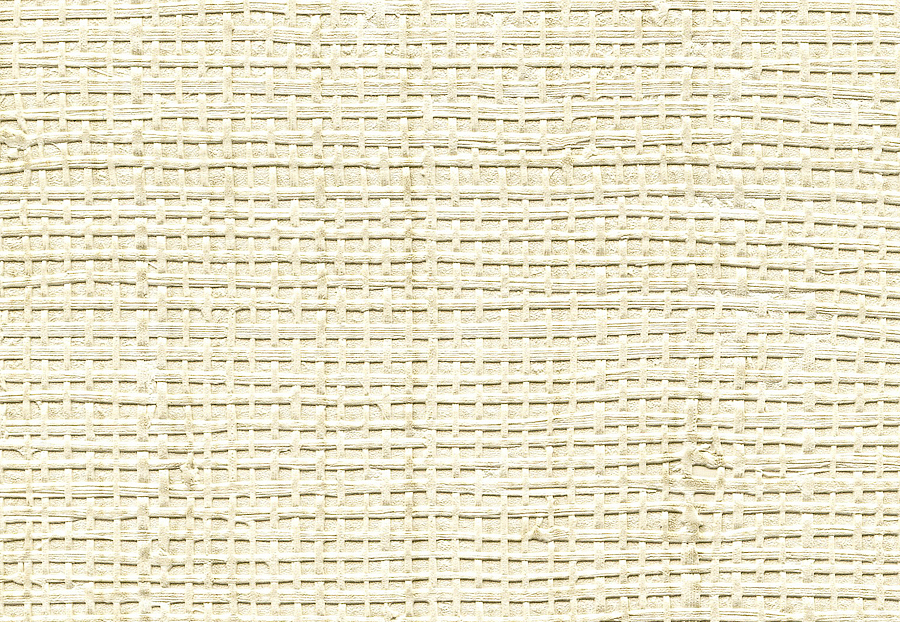 Обои Elitis Raffia & Madagascar VP60103