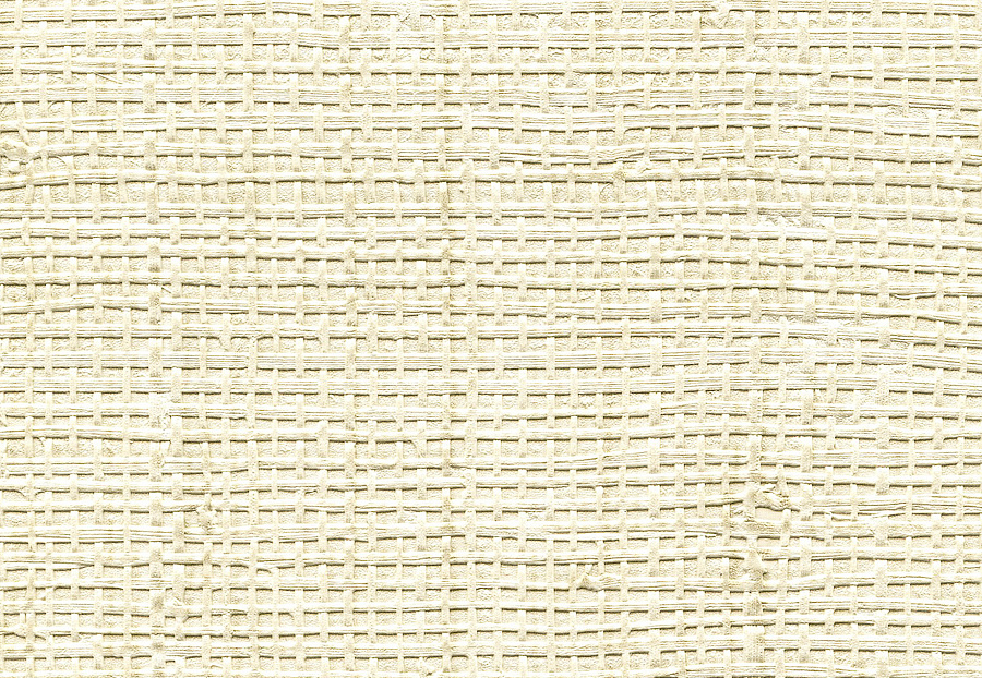 Обои Elitis Raffia & Madagascar VP60103