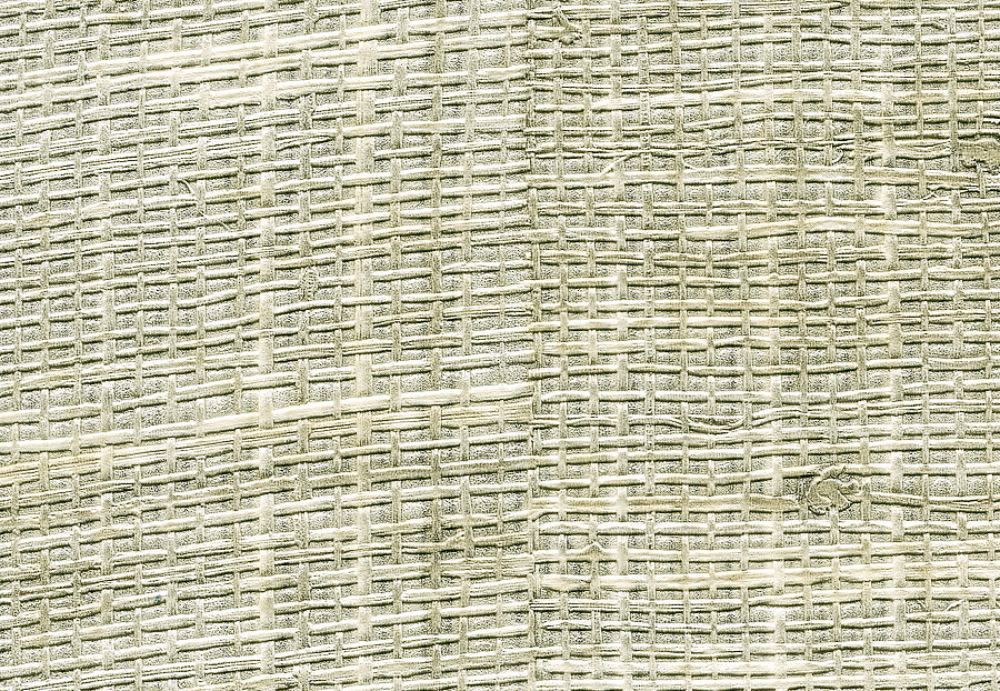 Обои Elitis Raffia & Madagascar VP60110