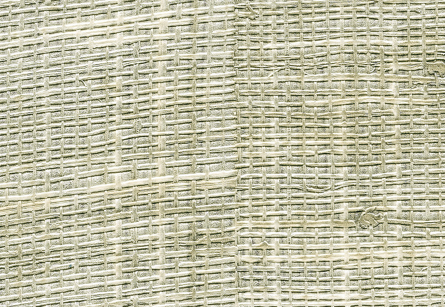 Обои Elitis Raffia & Madagascar VP60110