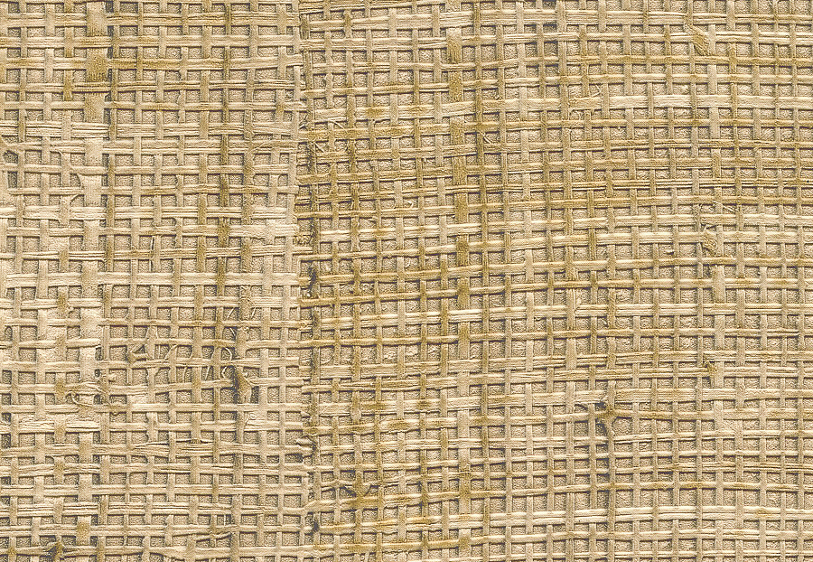 Обои Elitis Raffia & Madagascar VP60119
