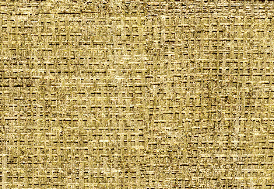 Обои Elitis Raffia & Madagascar VP60120