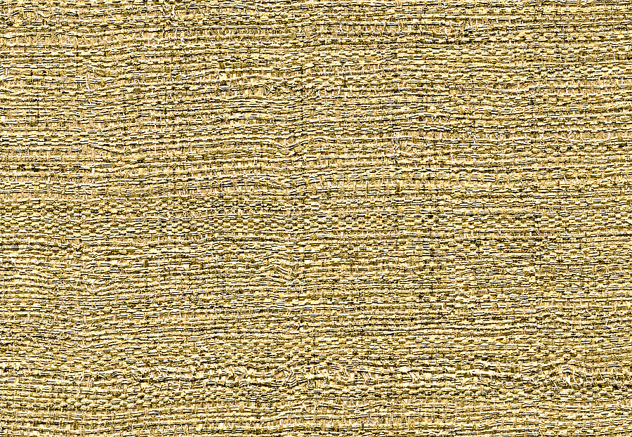 Обои Elitis Raffia & Madagascar VP60202