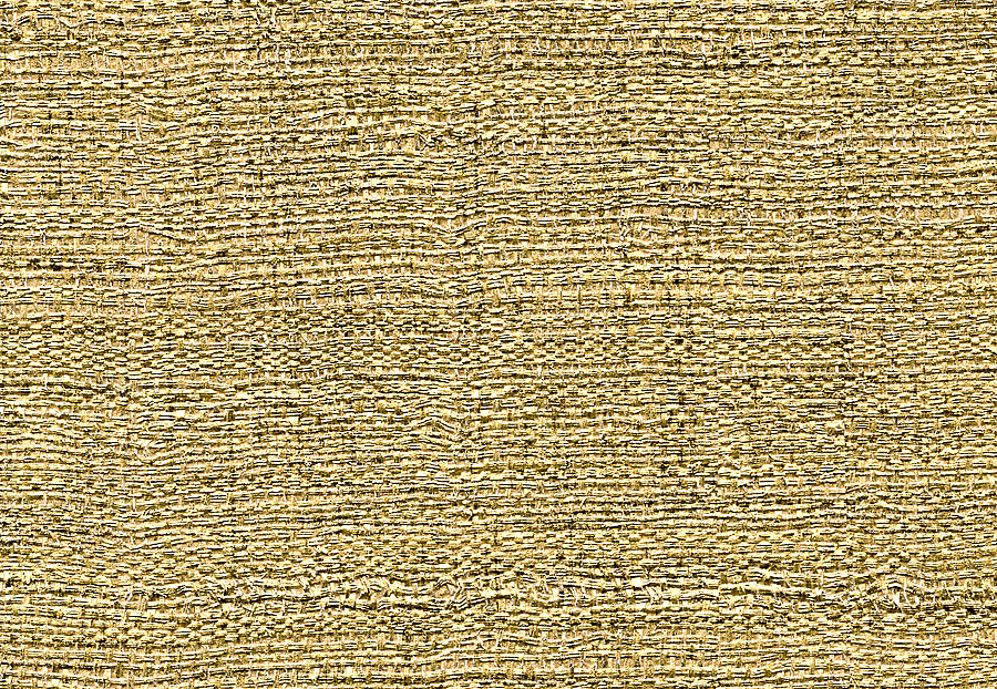 Обои Elitis Raffia & Madagascar VP60202