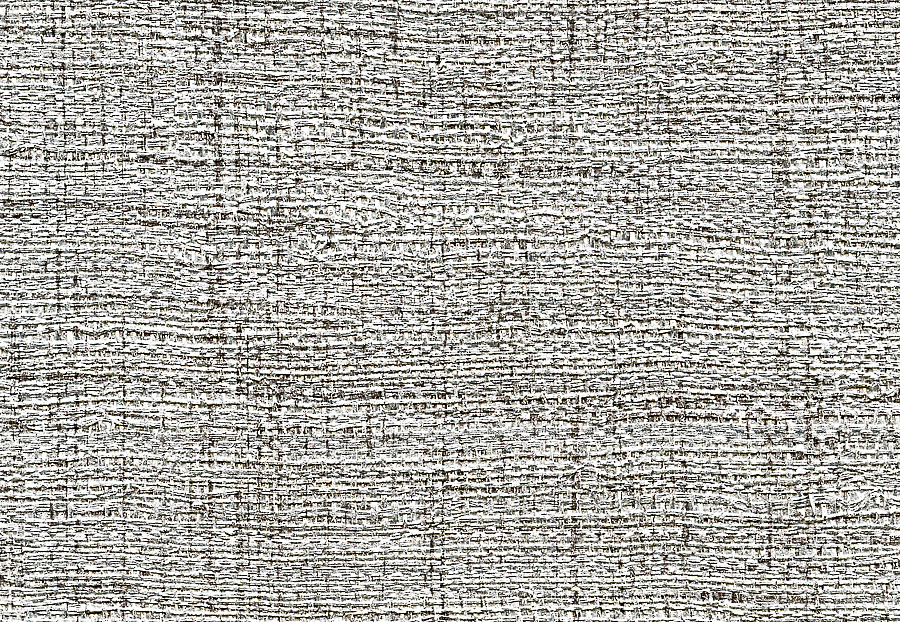Обои Elitis Raffia & Madagascar VP60204