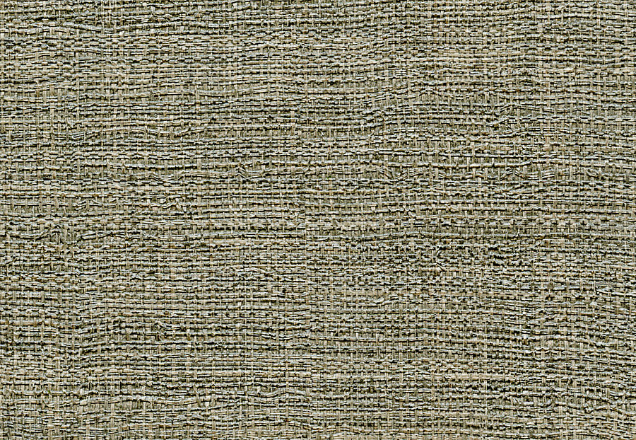 Обои Elitis Raffia & Madagascar VP63119