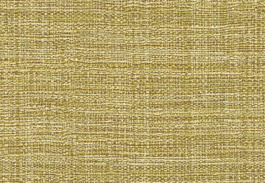 Обои Elitis Raffia & Madagascar VP63136