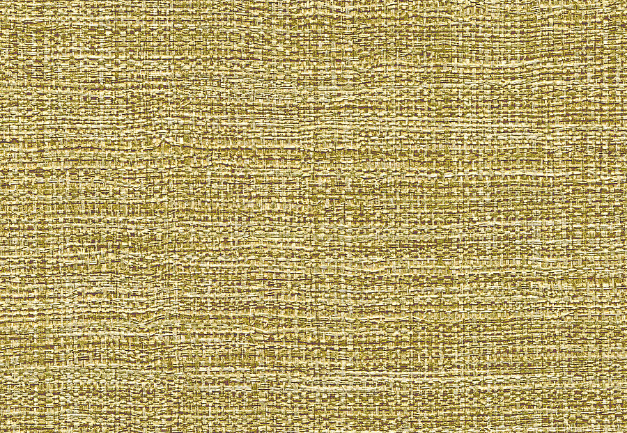 Обои Elitis Raffia & Madagascar VP63136