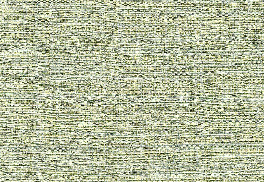 Обои Elitis Raffia & Madagascar VP63138