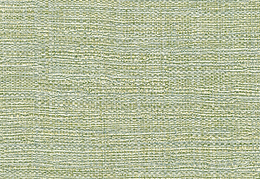 Обои Elitis Raffia & Madagascar VP63138