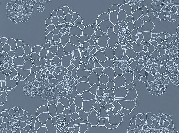 Обои Paint & Paper Library Tresco Aeonium Blue Blood