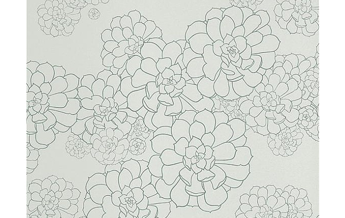 Английские обои Paint & Paper Library, коллекция Tresco, артикул Aeonium Blue Gum