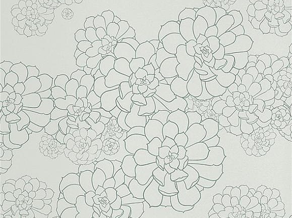 Обои Paint & Paper Library Tresco Aeonium Blue Gum