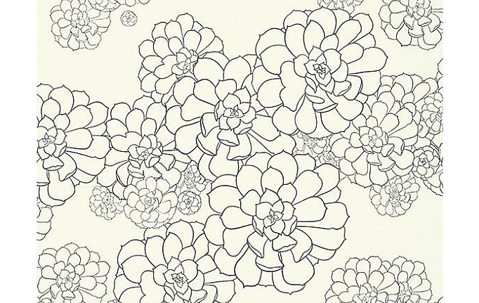 Английские обои Paint & Paper Library, коллекция Tresco, артикул Aeonium Clean White