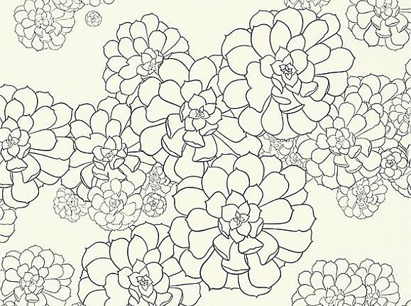 Обои Paint & Paper Library Tresco Aeonium Clean White