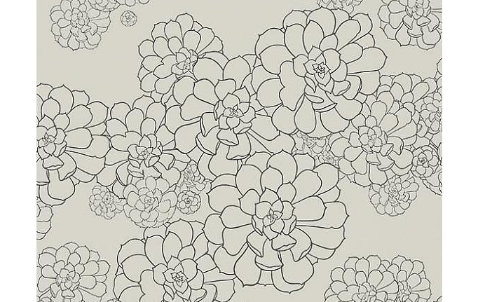Английские обои Paint & Paper Library, коллекция Tresco, артикул Aeonium Cotton