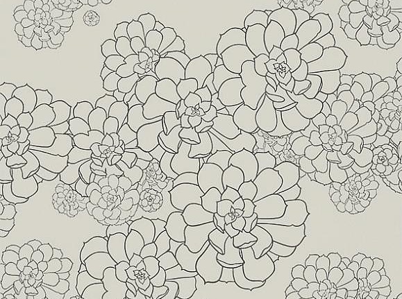 Обои Paint & Paper Library Tresco Aeonium Cotton