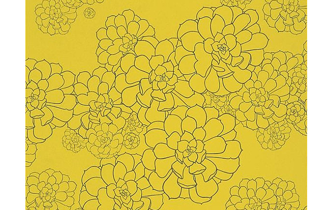 Английские обои Paint & Paper Library, коллекция Tresco, артикул Aeonium Gamboge