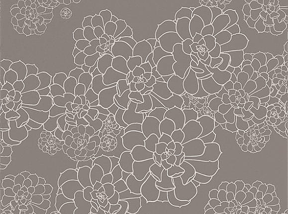 Обои Paint & Paper Library Tresco Aeonium Monument