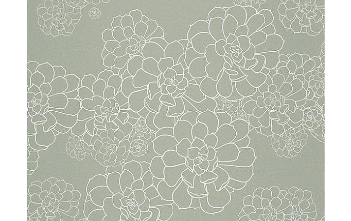 Английские обои Paint & Paper Library, коллекция Tresco, артикул Aeonium Steel
