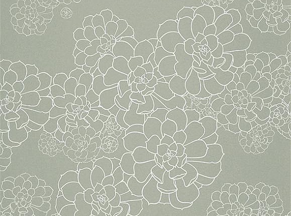 Обои Paint & Paper Library Tresco Aeonium Steel