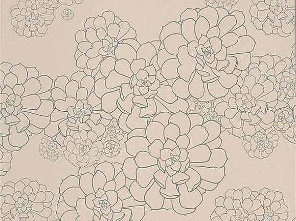 Обои Paint & Paper Library Tresco Aeonium Temple
