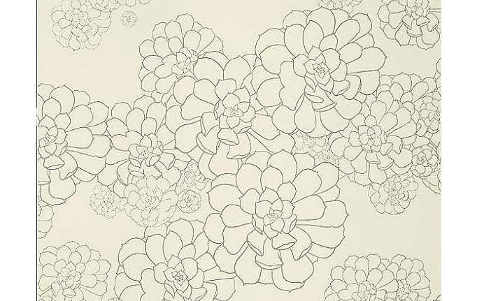 Английские обои Paint & Paper Library, коллекция Tresco, артикул Aeonium Wattle