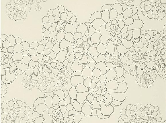 Обои Paint & Paper Library Tresco Aeonium Wattle