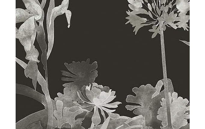Английские панно и фотообои Paint & Paper Library, коллекция Tresco, артикул Aloe Walk Perse Grey