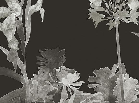 Панно и фотообои Paint & Paper Library Tresco Aloe Walk Perse Grey