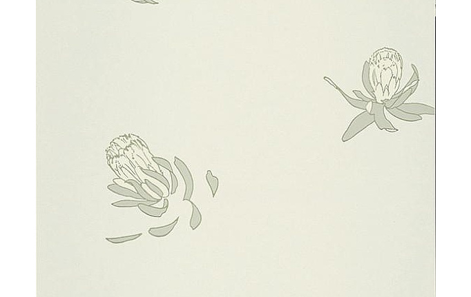 Английские обои Paint & Paper Library, коллекция Tresco, артикул Buds Hugo