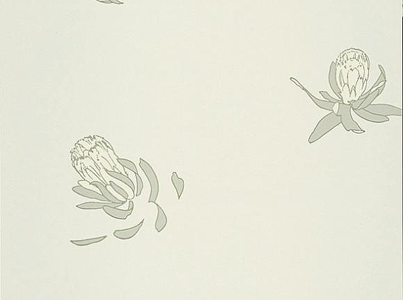 Обои Paint & Paper Library Tresco Buds Hugo