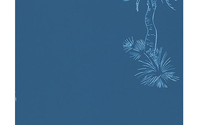 Английские обои Paint & Paper Library, коллекция Tresco, артикул Lighthouse Palm Blue Pearl