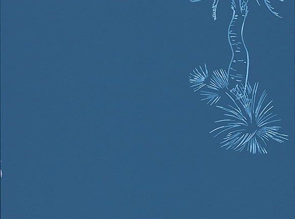 Обои Paint & Paper Library Tresco Lighthouse Palm Blue Pearl
