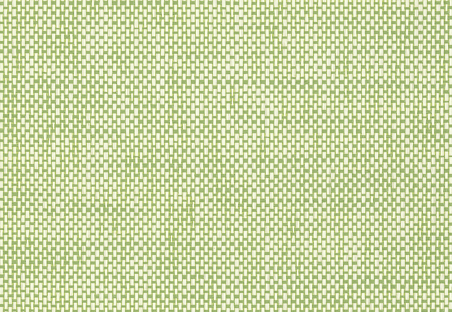 Обои Thibaut Grasscloth Resource 4 T72820