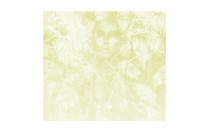 Немецкие панно и фотообои KT-Exclusive, коллекция Flagman Series - Vanilla Lime, артикул 014350
