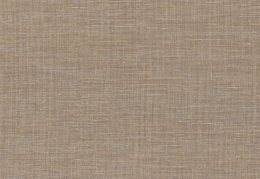 Обои Casamance Apaches 73811130