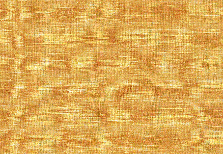 Обои Casamance Apaches 73812354