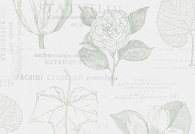 Обои Collection For Walls Northern Feelings 200604