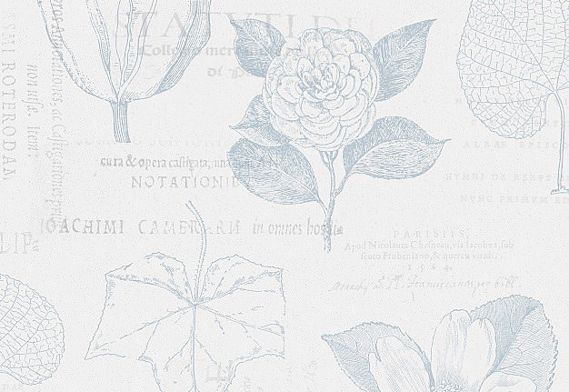 Обои Collection For Walls Northern Feelings 200605