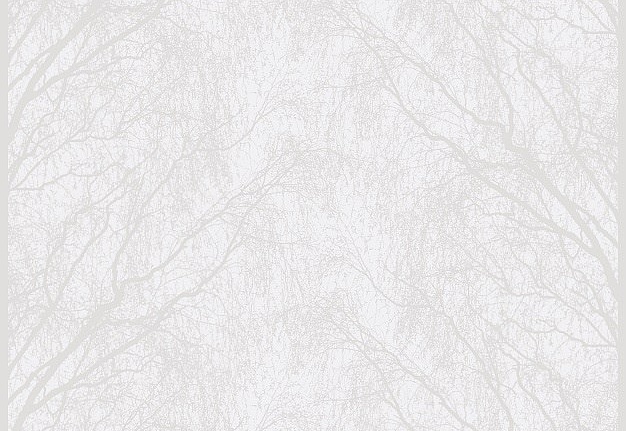 Обои Collection For Walls Northern Feelings 203701