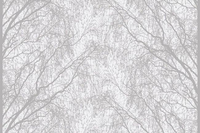 Обои Collection For Walls Northern Feelings 203702