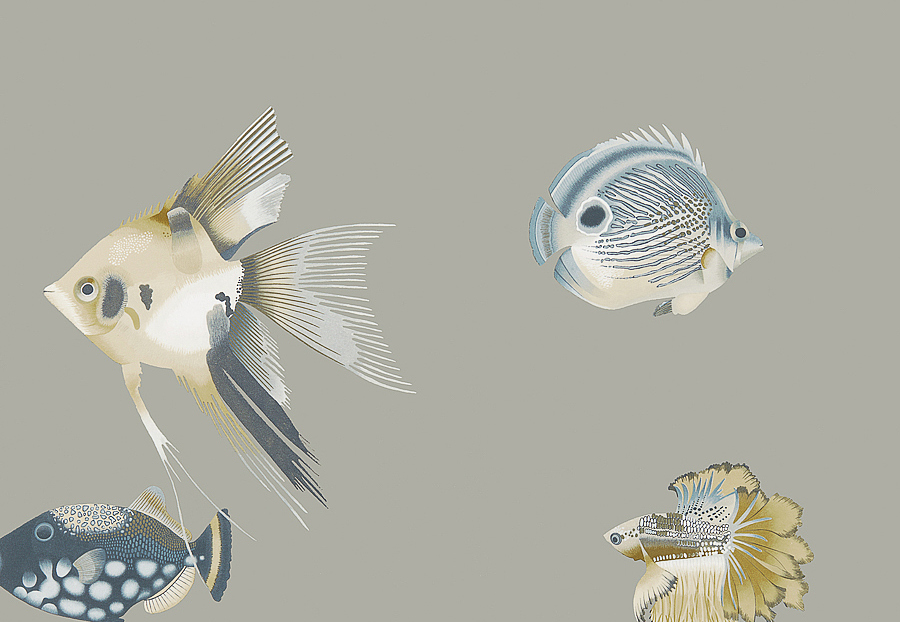 Обои Harlequin Anthozoa 111646