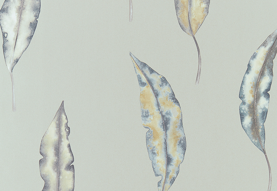 Обои Harlequin Anthozoa 111656