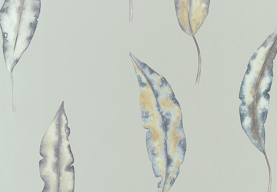 Обои Harlequin Anthozoa 111656