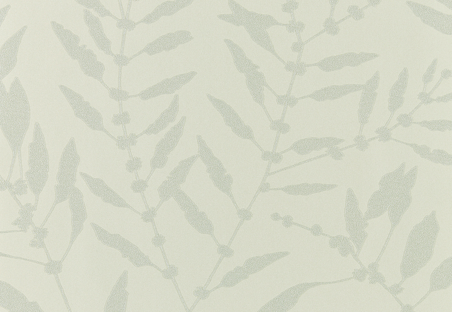 Обои Harlequin Anthozoa 111659