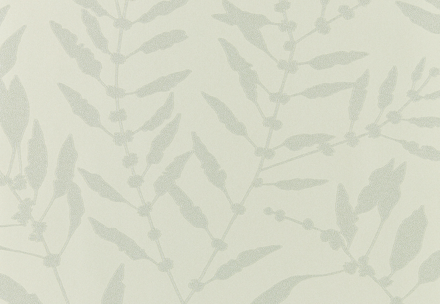 Обои Harlequin Anthozoa 111659